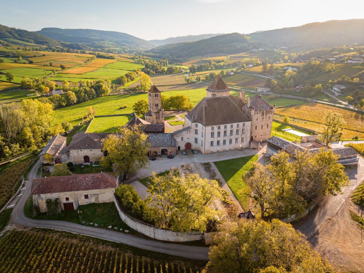 Chateau De Pierreclos Екстериор снимка