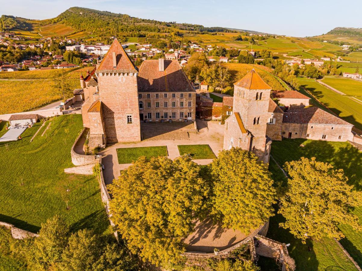 Chateau De Pierreclos Екстериор снимка