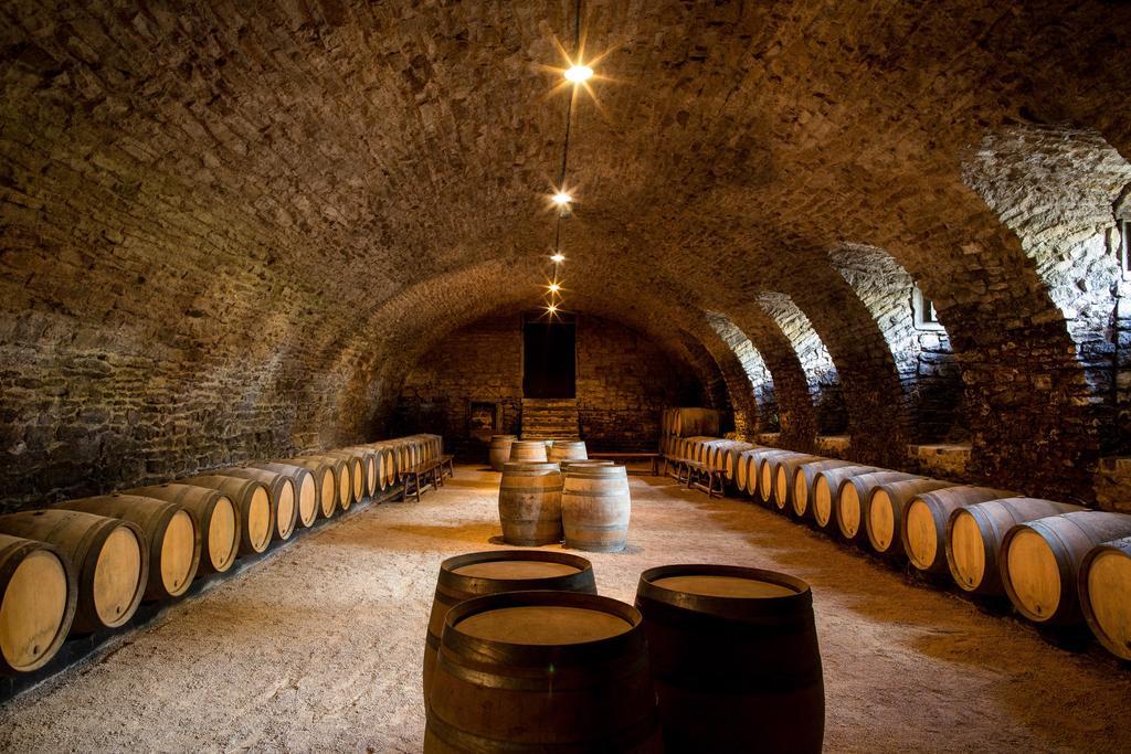 Chateau De Pierreclos Екстериор снимка